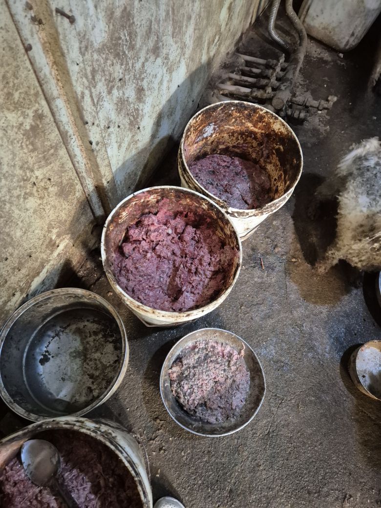 / 루시의 친구들 제공