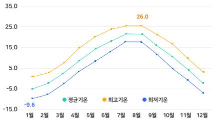 [태백시청 제공]
