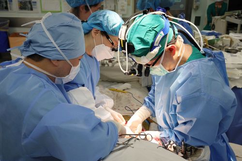 [서울아산병원 제공]