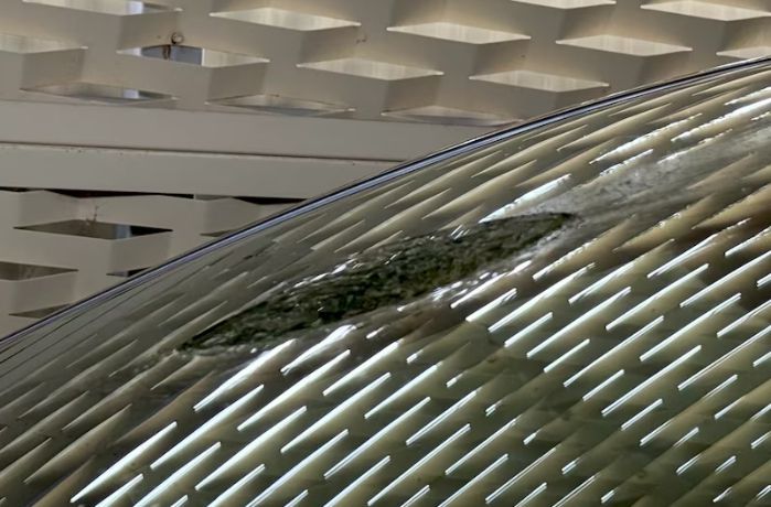 [호주 ABC 방송 캡처]