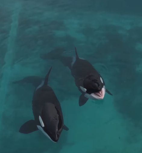 [sephlawless 인스타그램 캡처]