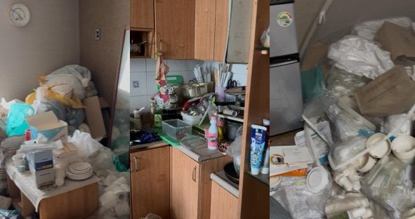 [보배드림 캡처]