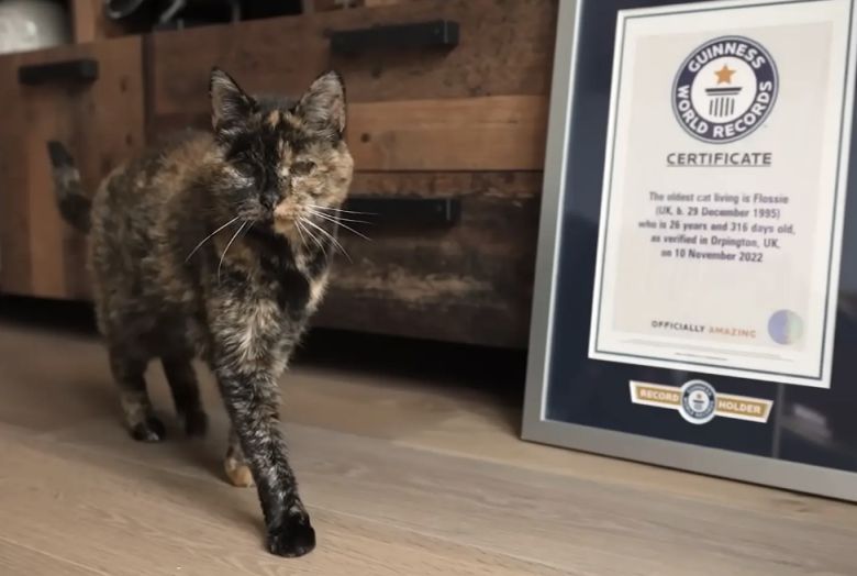 [뉴욕 포스트 캡처]