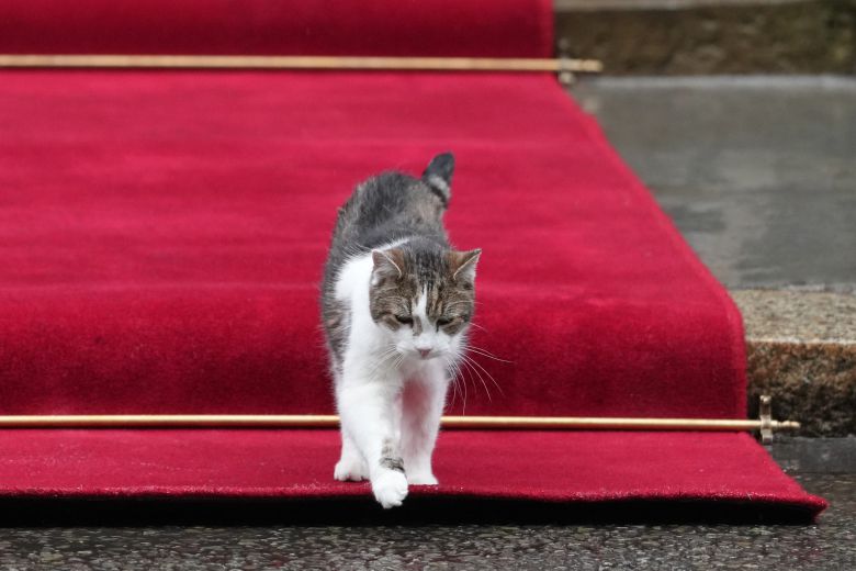 래리가 레드카펫을 걸어가는 모습 [AP]