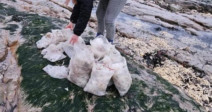 [페이스북 '조엘 보니치' 캡처]