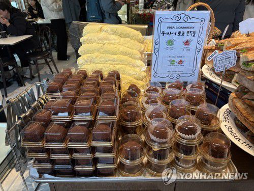 [연합뉴스 자료사진]