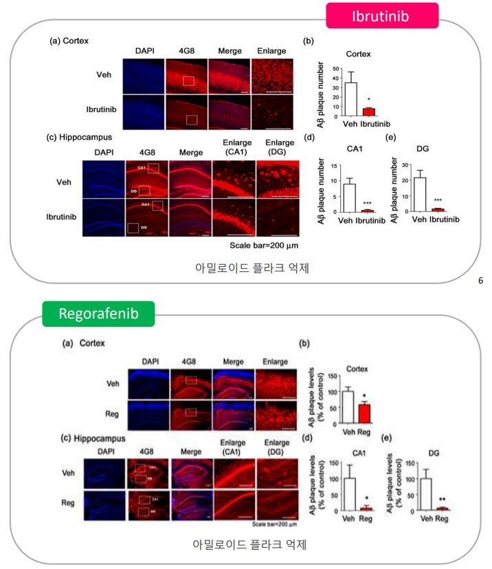 뇌연구원의 퇴행성 뇌질환 치료제를 활용한 아밀로이드 플라크 억제 양상
