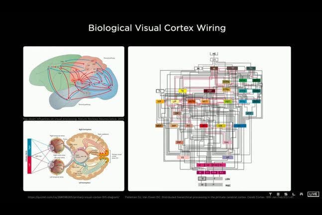 테슬라 AI데이 캡처 사진. 테슬라의 AI시스템은 인간의 두뇌를 작동시키는 신경회로망 원리를 알고리즘에 적용했다.