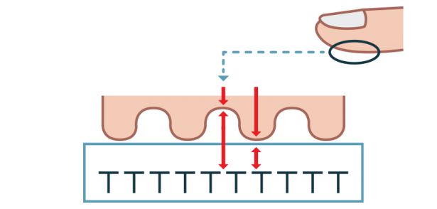 정전식 지문 인식 / 출처: 삼성디스플레이