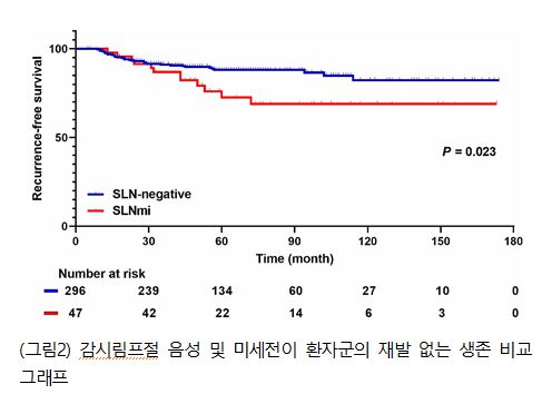 감시림프절 음성 및 미세전이 환자군의 재발 없는 생존 비교 그래프(자료=강남세브란스병원)