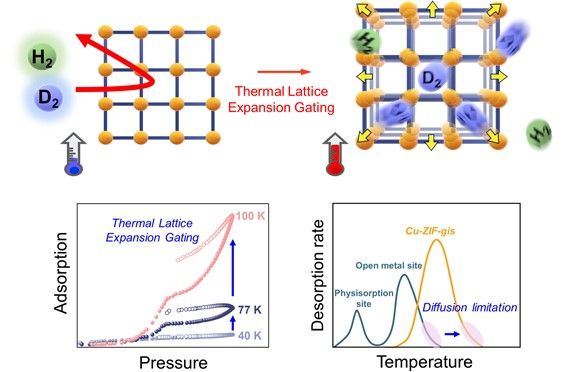 온도 상승에 의한 MOF 격자 확장으로 이뤄지는 수소 동위원소 분리 매커니즘