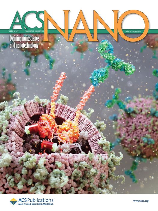 나노과학 학술지 'ACS Nano'의  표지 논문(supplementary cover) 이미지