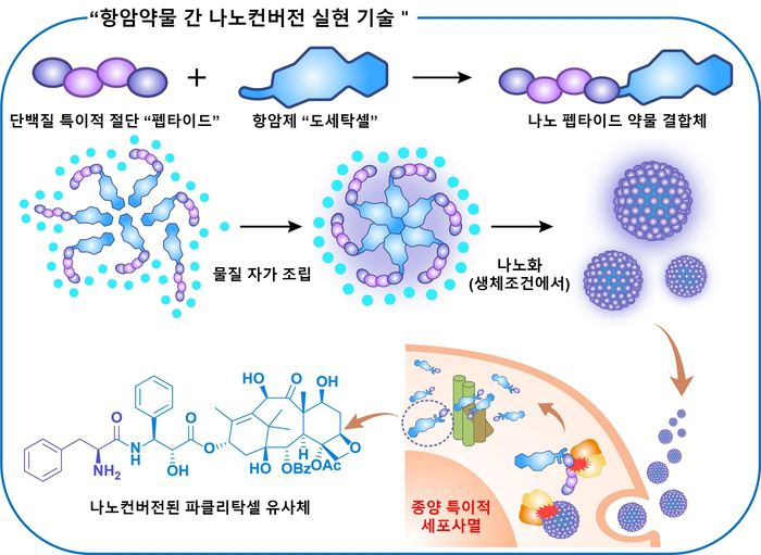 항암약물 간 나노변환 설명 연구 모식도