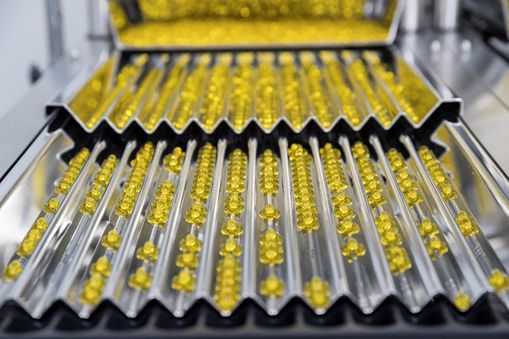 알피바이오 연질캡슐 생산공정 과정