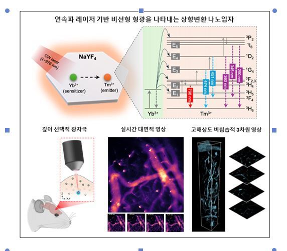 연속파 레이저 기반 상향변환 나노입자를 활용한 비선형 형광 영상 원리와 응용 예시