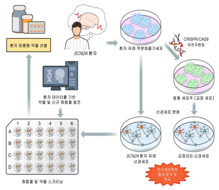 SCN2A 뇌전증 환자 맞춤형 신약개발을 위한 정밀의료 기반 실험 흐름도(자료=한국보건산업진흥원)