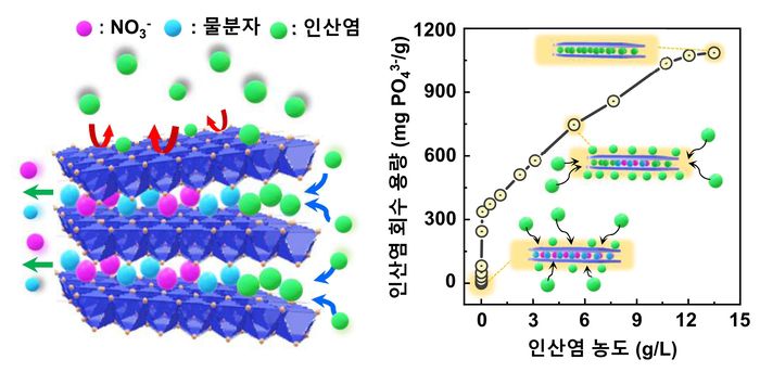 성게 모양 나노 입자의 인산염 회수 원리