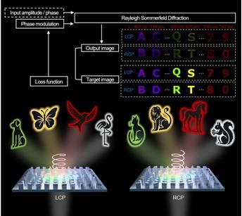 스핀 및 파장 다중화를 구현한 단일 셀 메타홀로그램의 개략도