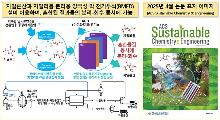 자일론산·자일리톨 분리용 양극성 분리막 전기투석(BMED) 모식도와 관련 논문 표지 이미지