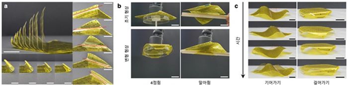 단일 로봇 종이로부터 유도되는 다양한 형상 변형 및 이의 활용 예시
