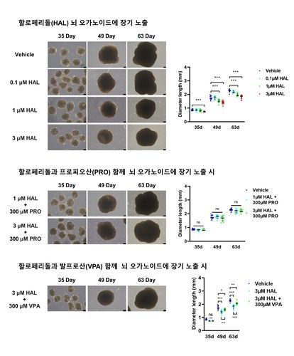 할로페리돌 투여 시점·용량에 따른 독성 변화 그래프