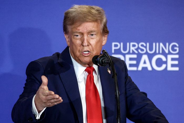 도널드 트럼프 미국 대통령