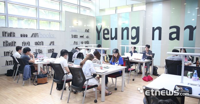 영남대 학생들이 도서관에서 공부에 열중하고 있다.