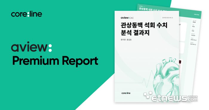 에이뷰 프리미엄 리포트