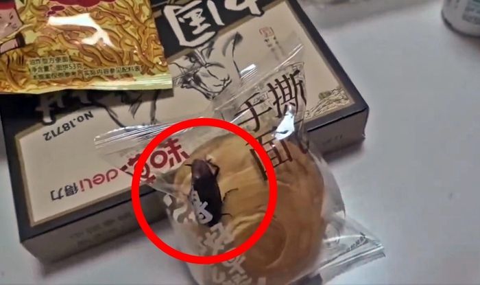 빵 봉지 안에서 살아 있는 바퀴벌레를 발견됐다.〈사진=엑스〉