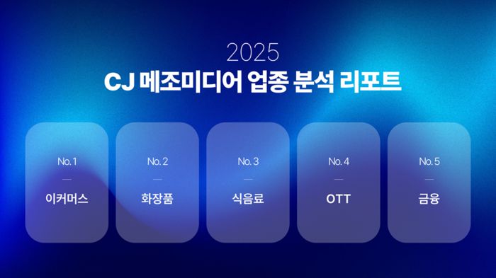 CJ메조미디어 '2025 업종 분석 리포트'