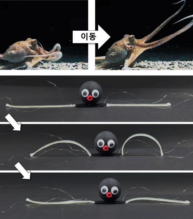 이동 기능을 수행하는 옥토이드의 다리