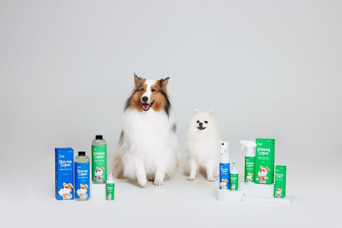 도심을 살아가는 반려가족을 위한 섬세한 케어 브랜드 지홈랩스