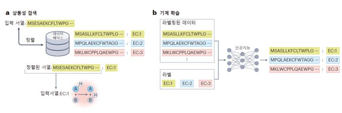 효소 기능 예측을 위한 전산생물학 접근법 모식도