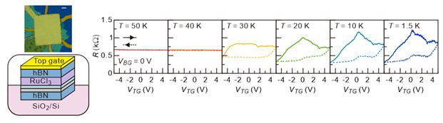 소자모식도(왼쪽)와 강유전 현상결과