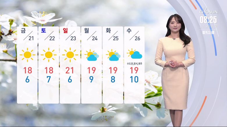 TV조선