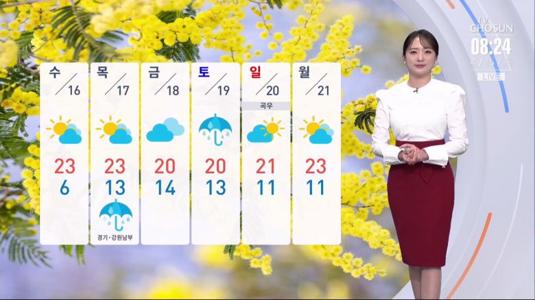 TV조선
