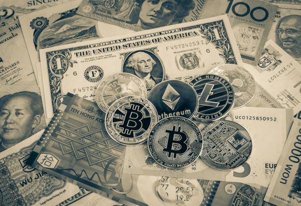 /그래픽=디디다 컴퍼니 제공