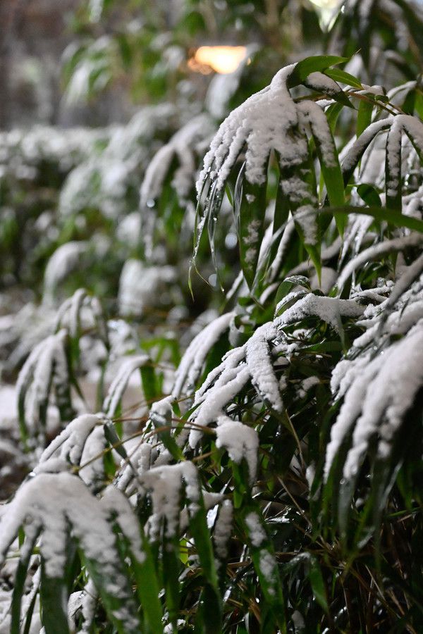 Z50II 야간 촬영 샘플 /사진=남도영 기자