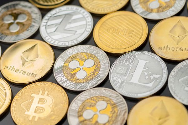 이미지=디다다컴퍼니