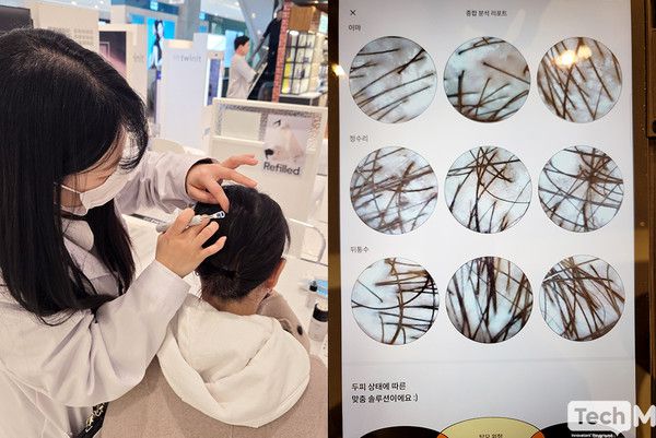 /사진=이소라 기자