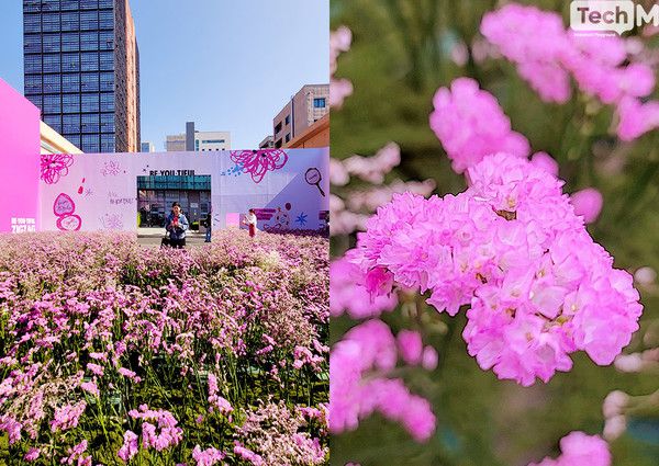 /사진=이소라 기자