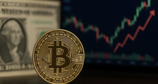 이미지=픽사베이