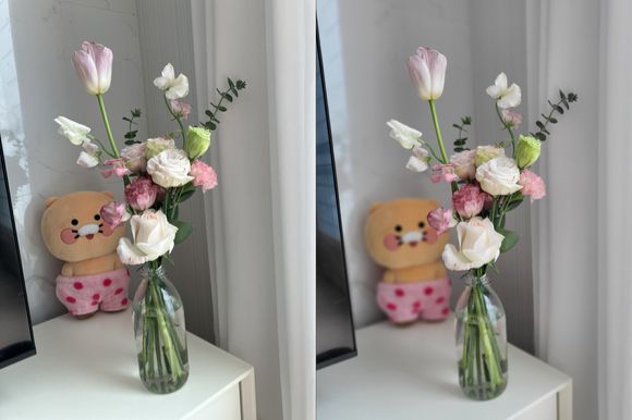 아이폰SE3(왼쪽)와 갤럭시Z플립3 인물모드로 촬영한 사진 [사진=서민지 기자]