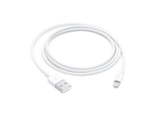 애플 아이폰 라이트닝 충전 케이블. [사진=애플 공식스토어 캡처]