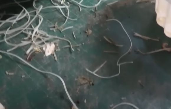 식품 위생법 위반으로 적발된 부산의 한 음식점 주방 도마 상태. [사진=MBC NEWS 유튜브 캡처]