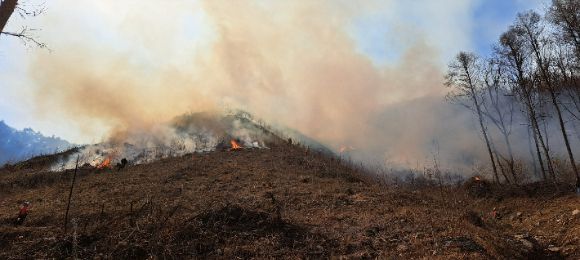 지난달 30일 충북 제천시 봉황산에서 발생한 산불은 불길이 민가로 접근하면서 동막마을 등 인근 마을 수십 가구에 대피령이 내려졌다. 해당 산불은 21시간 만인 다음날 오전 9시25분께 진화됐다. [사진=충북소방본부 제공]