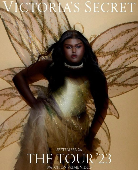 빅토리아 시크릿 컬렉션.  [사진=디자이너 미케일라 스타크 인스타그램 캡처]