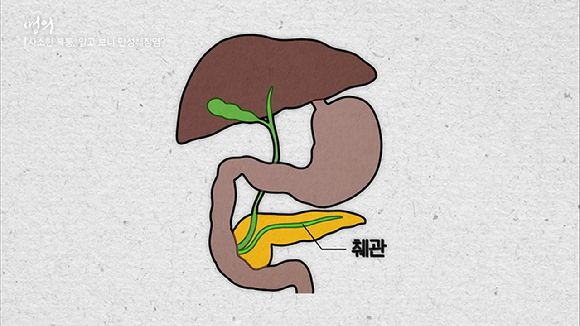췌장은 소화 흡수를 돕고 혈당을 조절하는 역할을 한다. [사진=EBS]