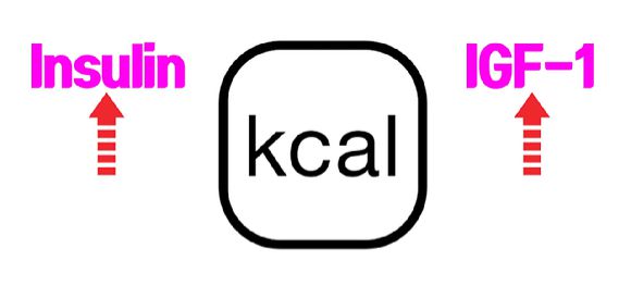 해외 여드름 전문 웹사이트 'acne.org'은 유청 단백질의 섭취가 인슐린과 IGF-1 상승에 기여할 순 있지만, 이 두 호르몬은 섭취하는 칼로리량에 더 큰 영향을 받는다고 전했다. [사진=유튜브 채널 '세계적으로 유명한 운동 정보']