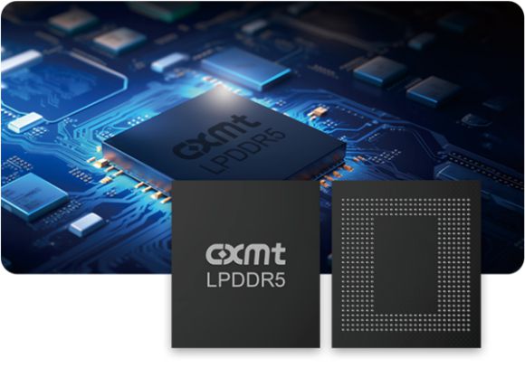 창신메모리테크놀로지(CXMT) 'LPDDR5' 제품 이미지. [사진=CXMT 홈페이지]